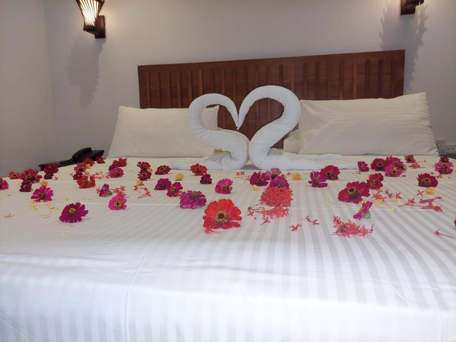 J7 Villaj Resort Trincomalee Eksteriør bilde
