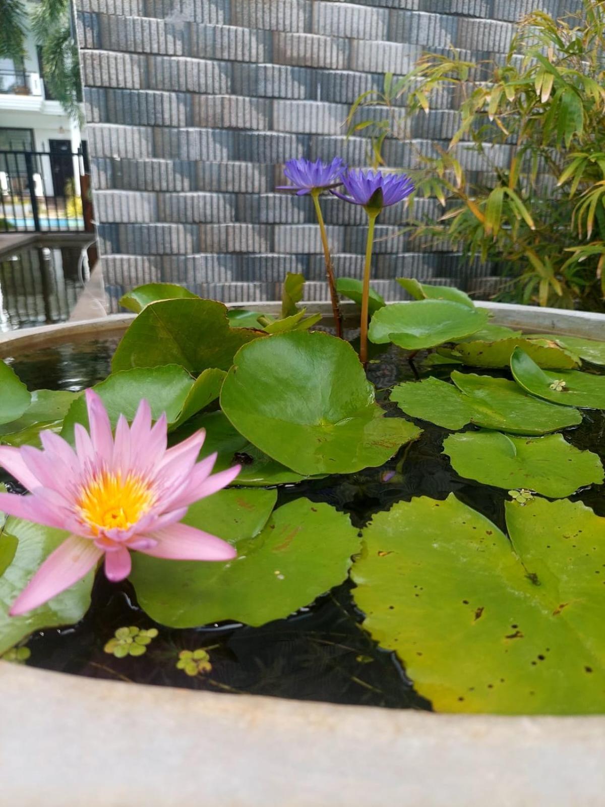 J7 Villaj Resort Trincomalee Eksteriør bilde