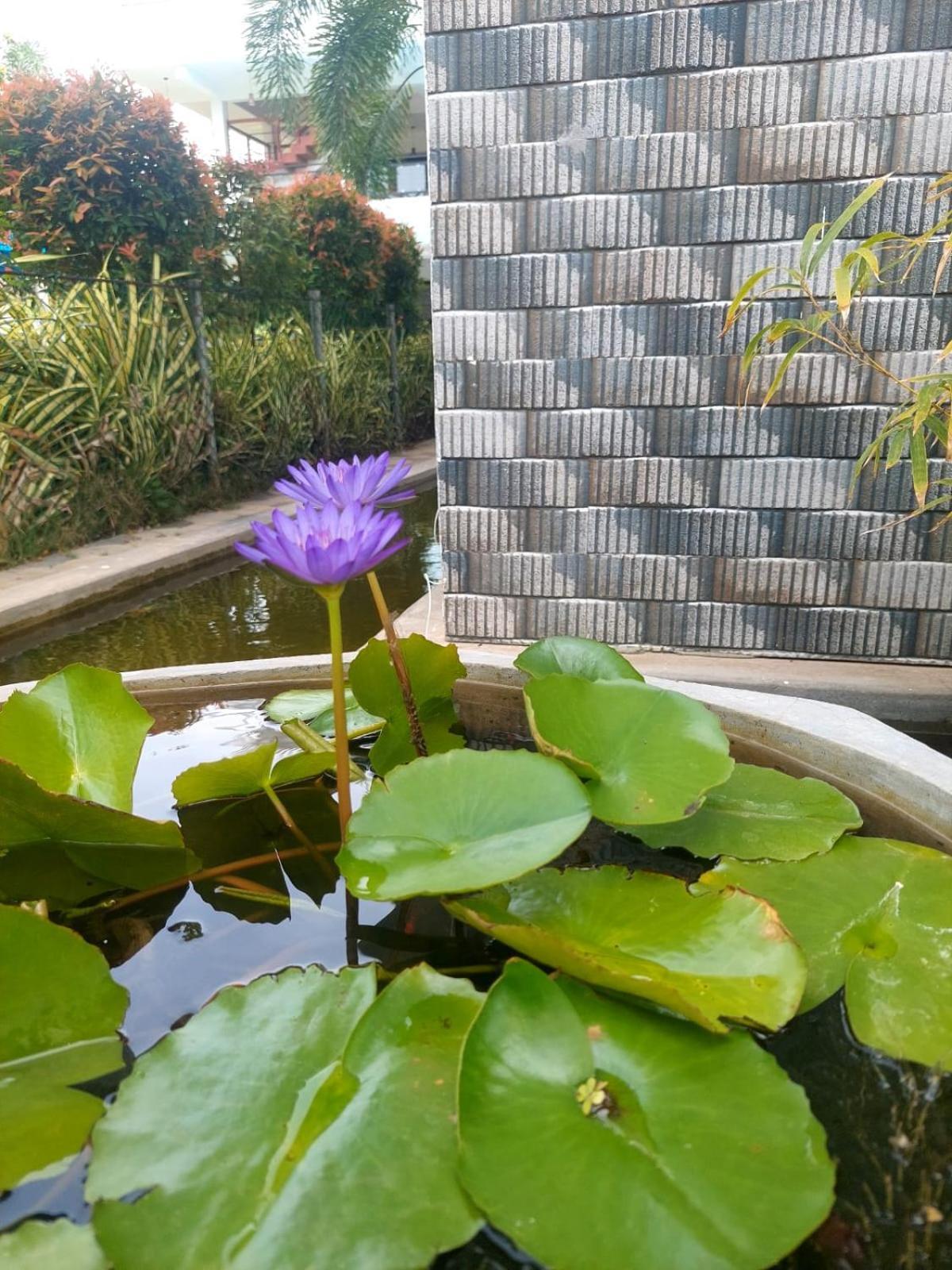 J7 Villaj Resort Trincomalee Eksteriør bilde